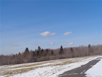 0 Reed Rd unit B1017247, Arcade, NY 14009 - photo 4