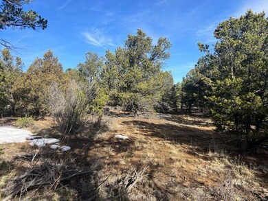 Great Open Space