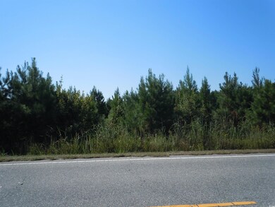 TBD Near 10547 Andrew Jackson Hwy SW, Fair Bluff, NC 28439 - photo 6