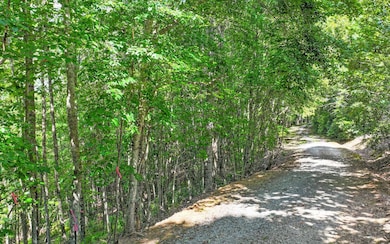 Lot 1 N View Dr, Mineral Bluff, GA 30559 - photo 3