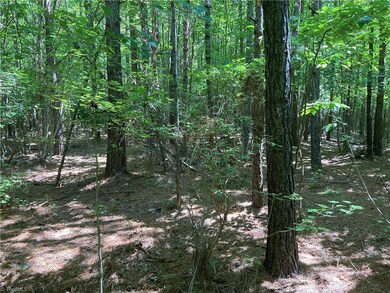 0 Nc Highway 134 N unit 1079012, Star, NC 27375 - photo 3