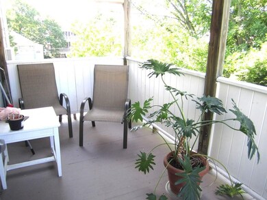 162 Chestnut St unit 3, Brookline, MA 02445 - photo 4