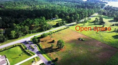 0 Ranch Gate Blvd unit MFRO6343065, Umatilla, FL 32784 - photo 4