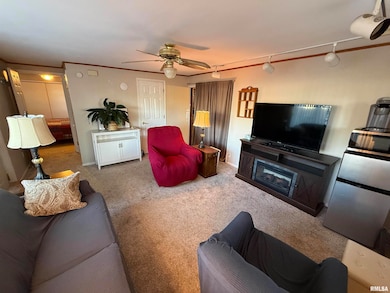 313 W Spruce St unit 1, Chatham, IL 62629 - photo 5