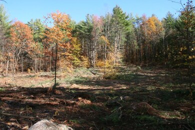 Lot being cleared to enhance...
