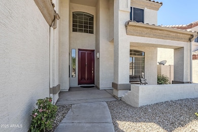 5-web-or-mls-Longhorn-5