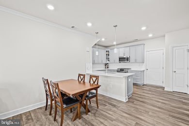 22528 Wilson View Terrace, Ashburn, VA 20148 - photo 6