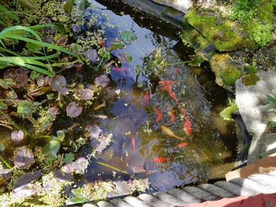 3rdstkoi