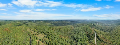 000 Pine Top Rd, Hollister, MO 65672 - photo 3