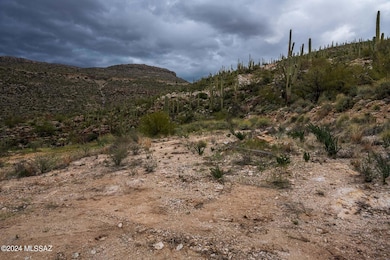 12959 E Cabeza de Vaca St unit Lot A, Tucson, AZ 85749 - photo 4