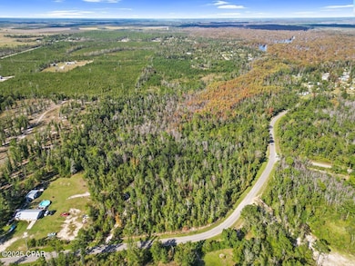 TBD Our Town Rd, Wewahitchka, FL 32465 - photo 4