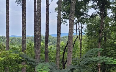 52 Pine Ridge Trail, Ellijay, GA 30540 - photo 2