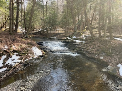 1292 Halls Corners Rd, Attica, NY 14011 - photo 3