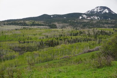 DSC00260