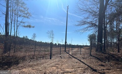 0 McGhee Rd unit 10453026, Sparta, GA 31087 - photo 5