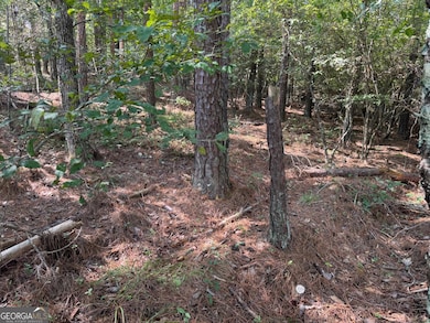 LT 5 Morton Bend Rd, Rome, GA 30161 - photo 3
