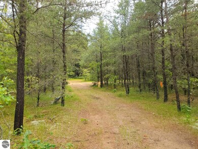 0 Cabin Lake Road Nw Corner at Oleskie Trail unit 1902033, West Branch, MI 48661 - photo 4