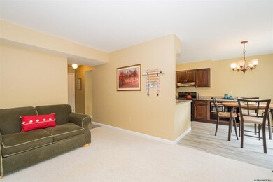 8 Tompion Ln, Saratoga Springs, NY 12866 - photo 7