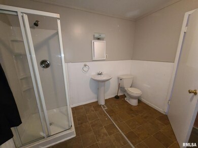 241 E Myrtle St, Virginia, IL 62691 - photo 4