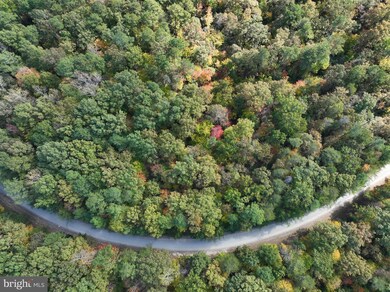 00 Old Camp Rd, Lanexa, VA 23089 - photo 4