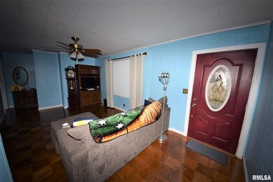 642 S East St, Virginia, IL 62691 - photo 6