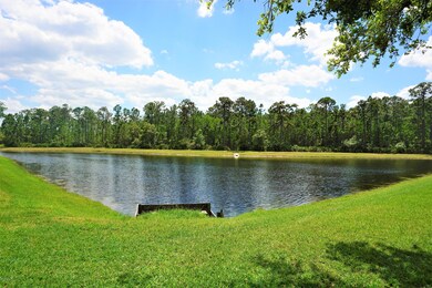 Backyard pond