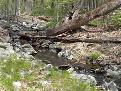 162 Marigold Ln, Milford, PA 18337 - photo 3