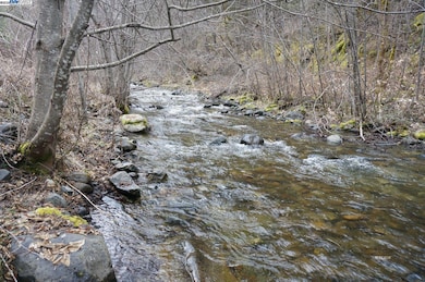 4990 Indian Creek Rd, Douglas City, CA 96024 - photo 2