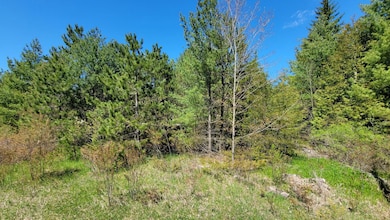 0 State Trunk Highway 42, Ellison Bay, WI 54210 - photo 4