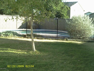 Backyard oasis!