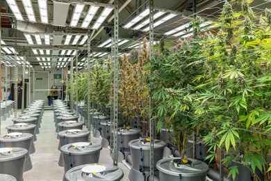 16 Evening Star Dr, Emigrant, MT 59027 - photo 4