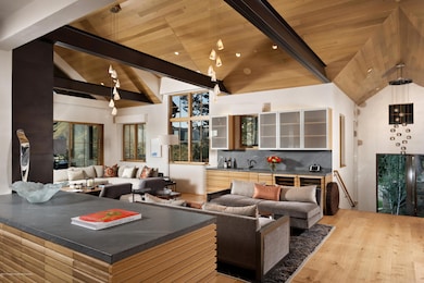 991 Moore Dr, Aspen, CO 81611 - photo 3