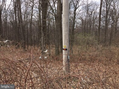 0 Ridgeview Rd unit 1000389032, Seven Valleys, PA 17360 - photo 3