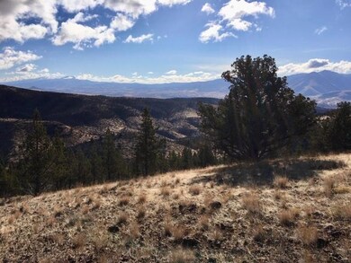 0 Shop Gulch unit 220111419, Mount Vernon, OR 97865 - photo 3