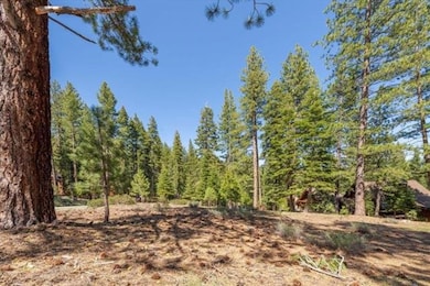 12721 Granite Dr, Truckee, CA 96161 - photo 7
