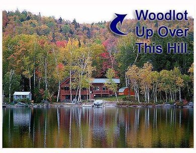 Other. The Woodlot Is Up Behind The...