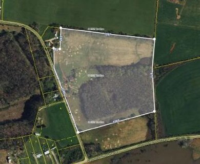 0 C B Johnson Rd, Walling, TN 38587 - photo 2