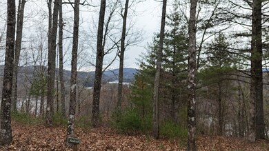 26 Shepherds Gap Rd, Cullowhee, NC 28723 - photo 7