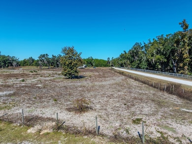 1325 NE 399th St, Cross City, FL 32628 - photo 6