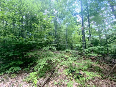 685 County Route 25, Corinth, NY 12822 - photo 6