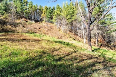 846 Joe Shoemaker Rd, Vilas, NC 28692 - photo 5