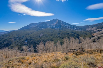 997 Saddle Ridge Rd, Crested Butte, CO 81224 - photo 7