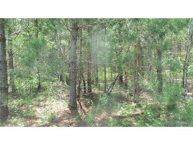 Lot 10 Maple Ln, Siren, WI 54872 - photo 7