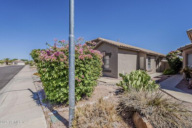 4-web-or-mls-Saguaro-4