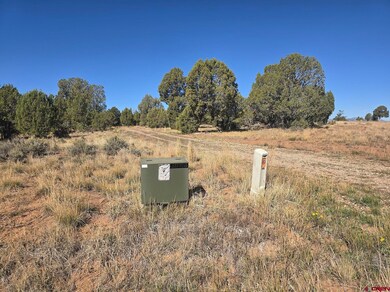 100 & 110 Wrangler Way, Durango, CO 81303 - photo 2