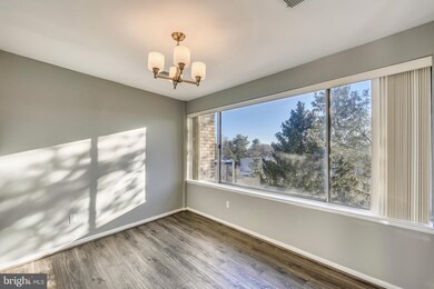 2507 Baltimore Rd unit 8, Rockville, MD 20853 - photo 6