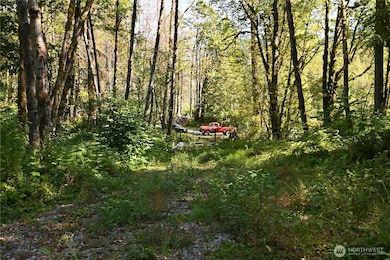 0 U S Highway 2, Baring, WA 98224 - photo 7