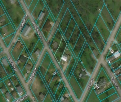 TBD Johnson Ave, Ennis, TX 75119 - photo 3