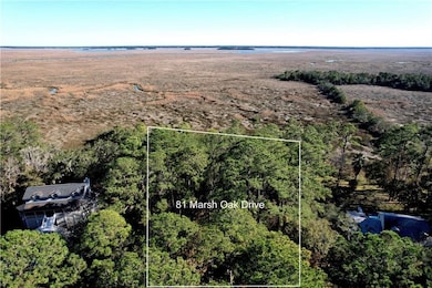 81 Marsh Oak Dr, Brunswick, GA 31520 - photo 3