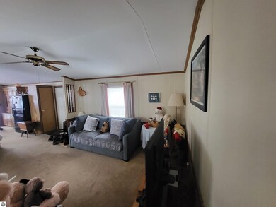 9226 Elsie Ave, Bear Lake, MI 49614 - photo 5